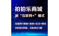 价格划算的拍拍乐app开发 郑州拍拍乐在线商城定制开发价位